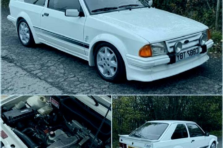 escort Rosalie