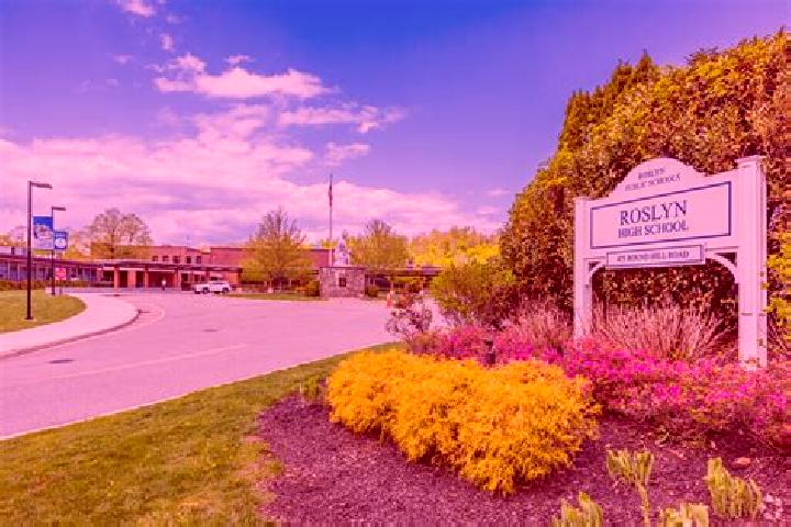 escort Roslyn Heights