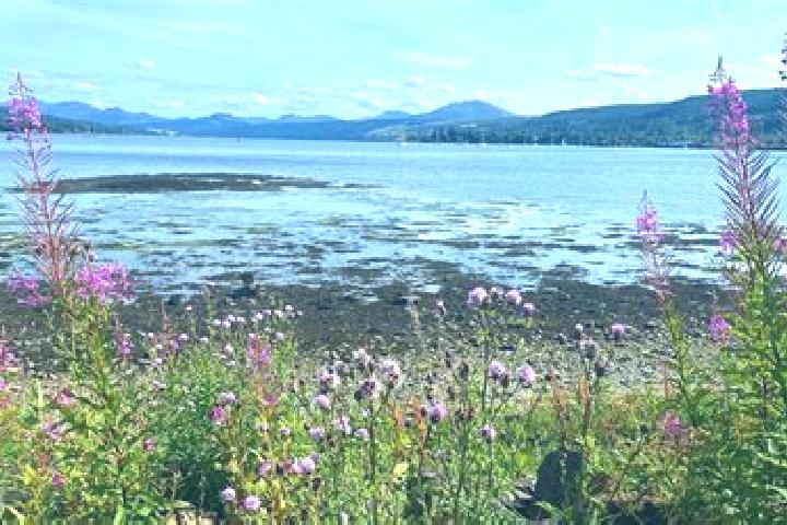 escort Rosneath