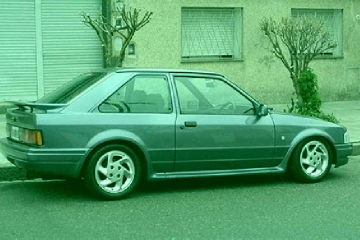 escort Rosolina