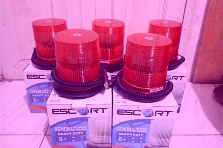 escort Rotari