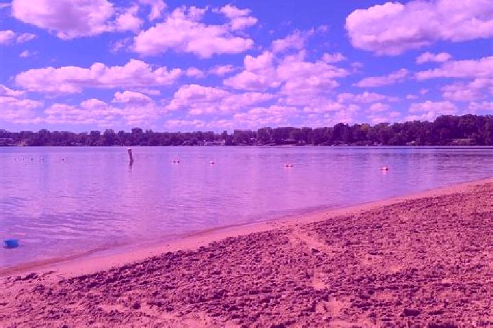 escort Round Lake Beach