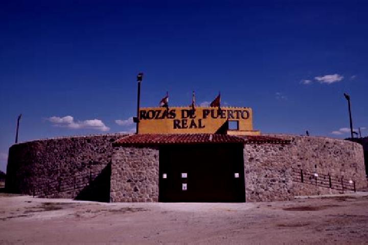 escort Rozas de Puerto Real