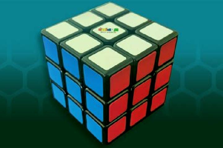 escort Rubik