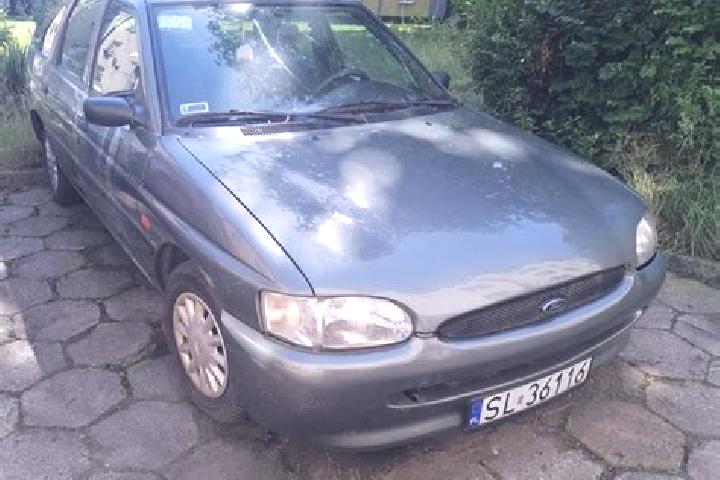 escort Ruda