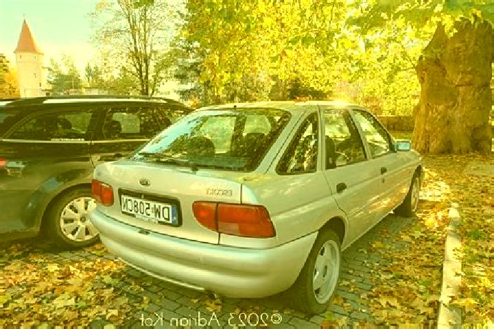 escort Rumburk