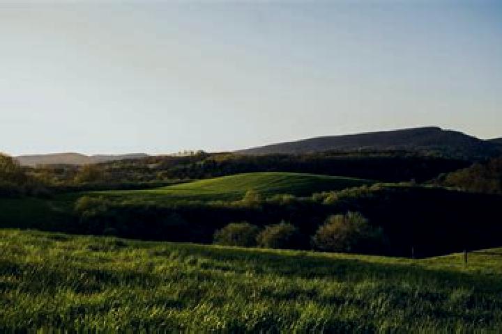 escort Rural Valley