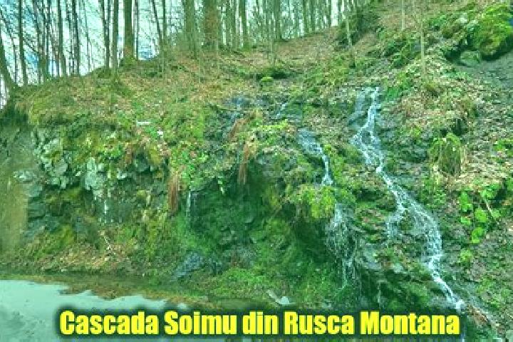 escort Rusca Montana