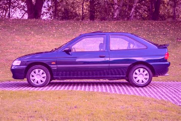 escort Ryjewo
