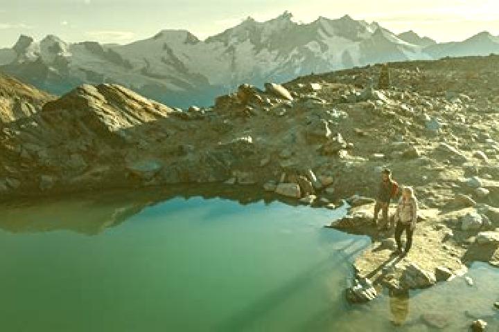 escort Saas-Fee