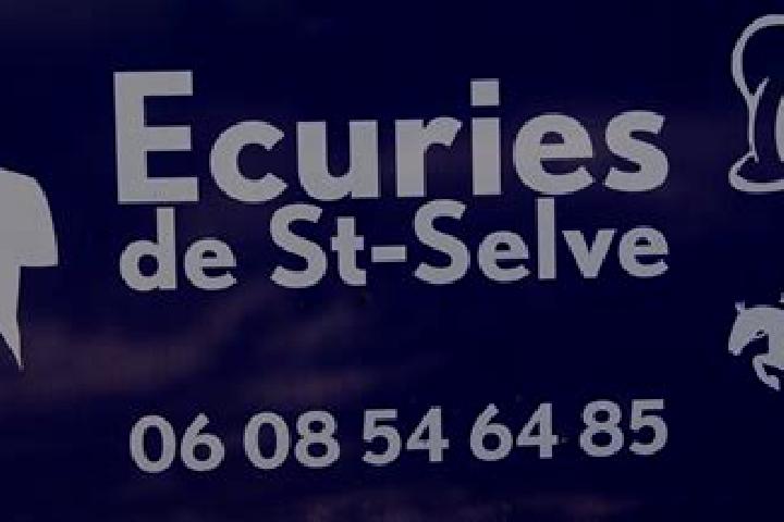 escort Saint-Selve