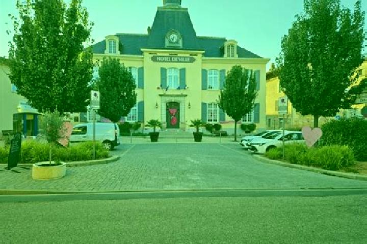 escort Saint-Trivier-sur-Moignans