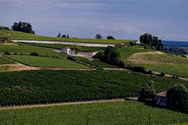 escort Saint-Yon