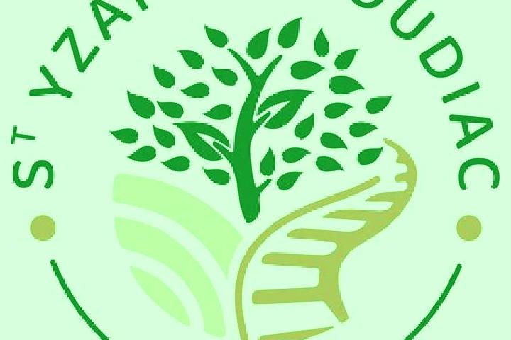 escort Saint-Yzan-de-Soudiac