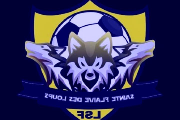 escort Sainte-Flaive-des-Loups