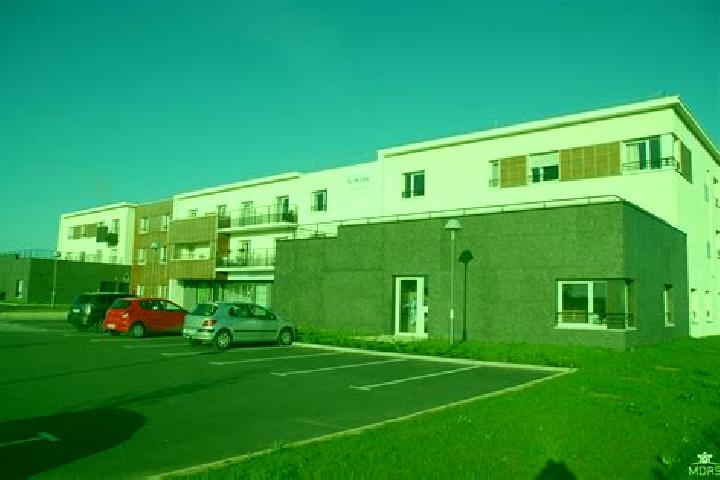 escort Sainte-Scolasse-sur-Sarthe