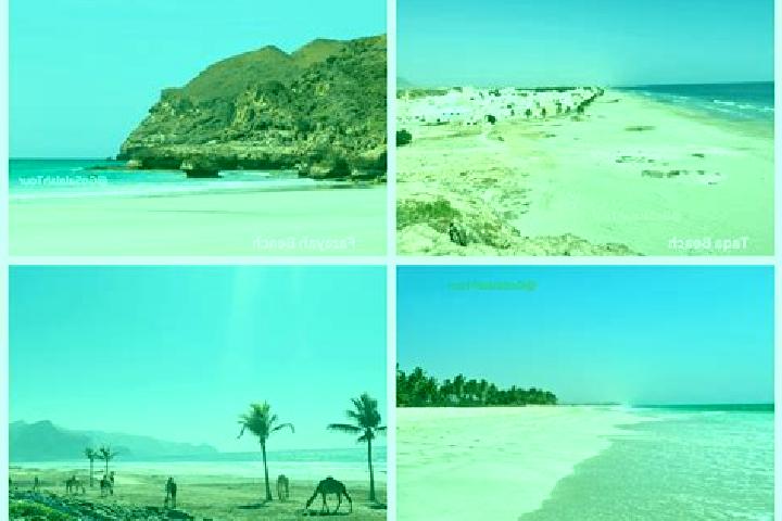 escort Salalah