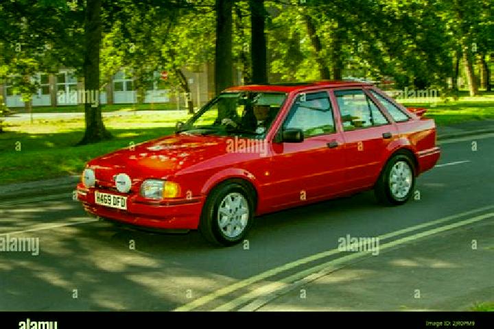 escort Salcha