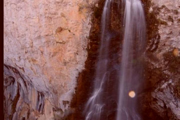 escort Salciua de Jos