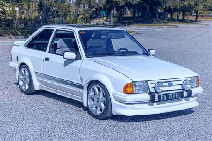 escort Saldana