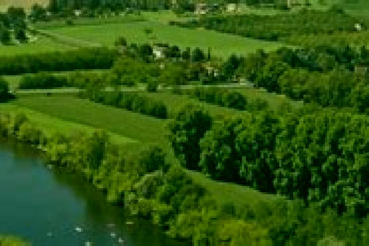 escort Salignac-Eyvigues