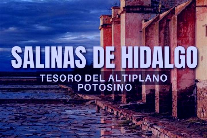 escort Salinas de Hidalgo