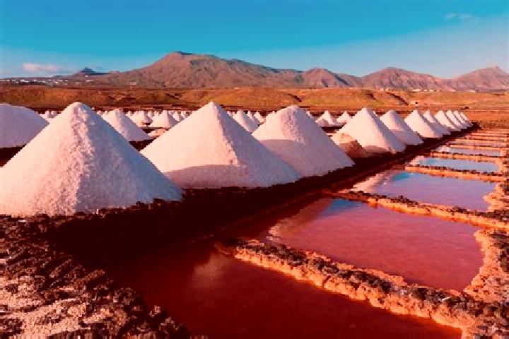 escort Salinas de Oro