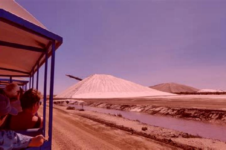 escort Salins