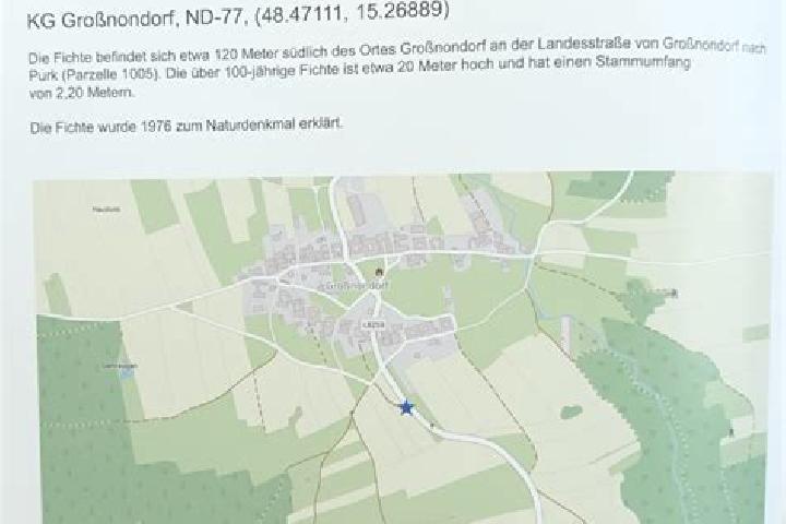 escort Sallingberg