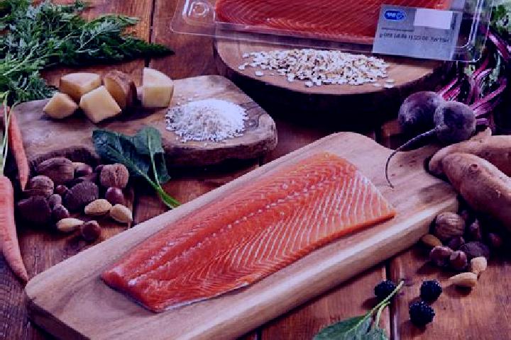 escort Salmon