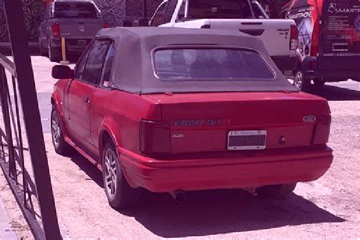 escort Salta