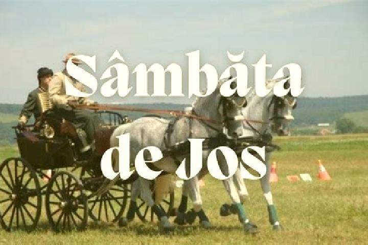 escort Sambata de Jos