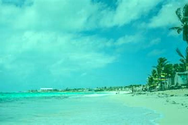 escort San Andres del Rey
