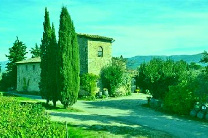 escort San Casciano in Val di Pesa
