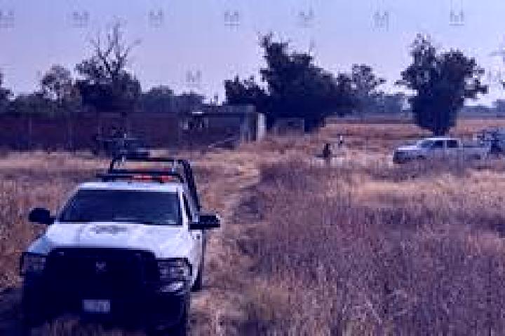 escort San Diego el Grande