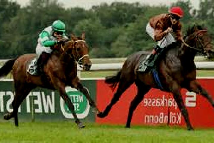 escort San Donato