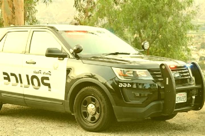 escort San Fernano