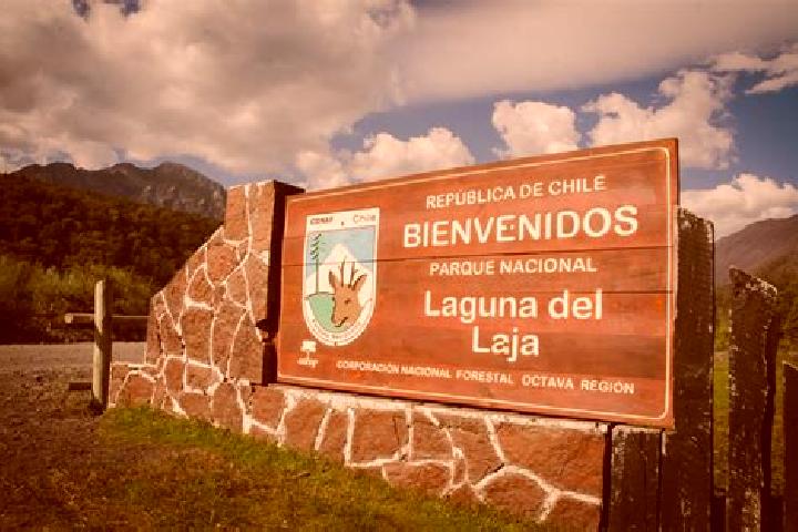escort San Jose de la Laja