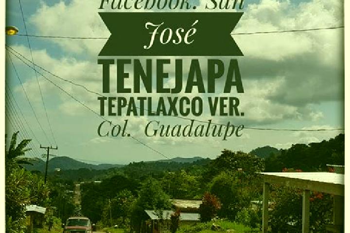 escort San Jose Tenejapa