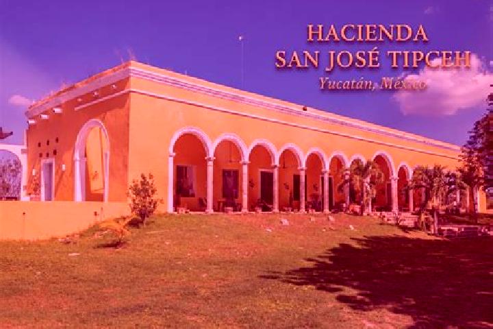 escort San Jose Tipceh