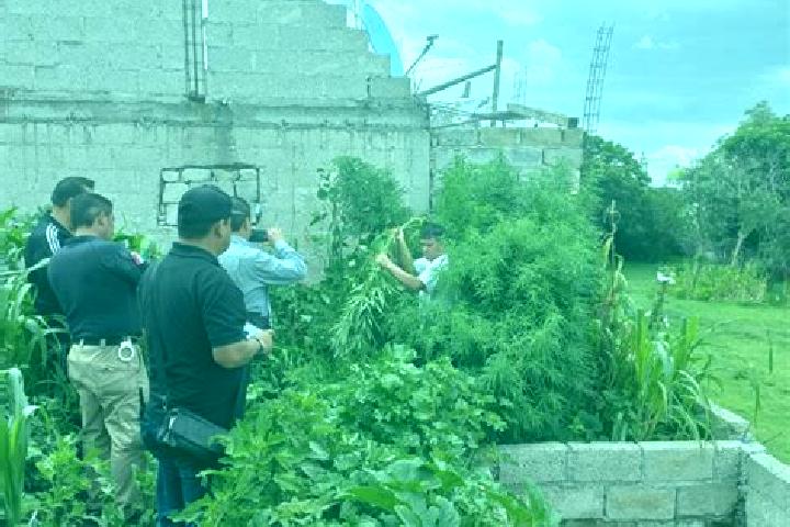 escort San Juan Huiloapan