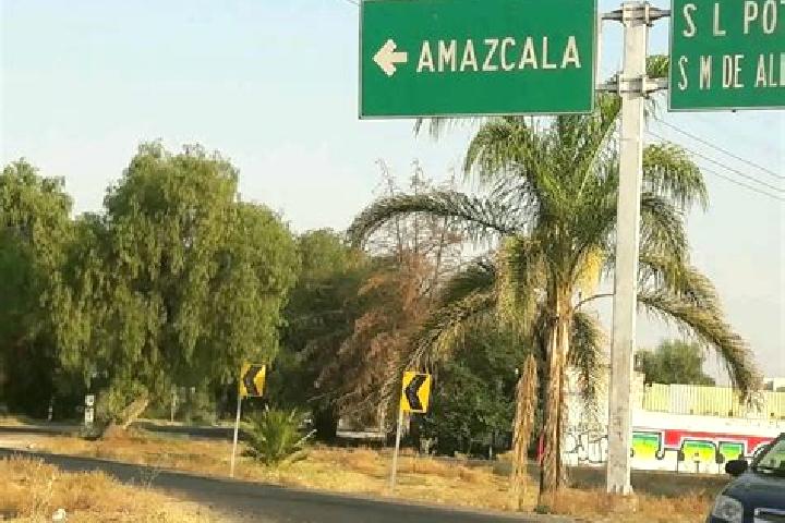 escort San Miguel Amazcala