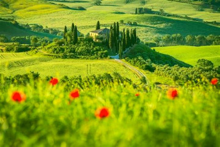 escort San Piero in Campo