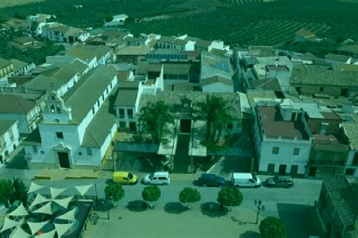escort San Sebastian de los Ballesteros