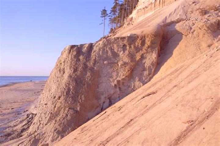 escort Sand Bluff