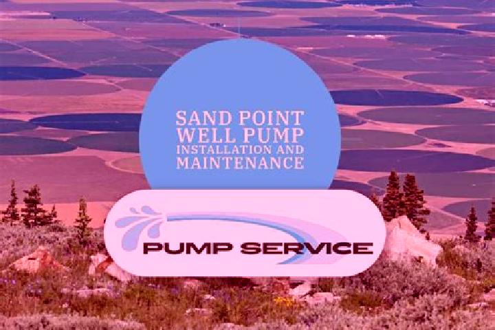 escort Sand Point