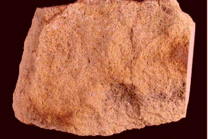 escort Sandstone