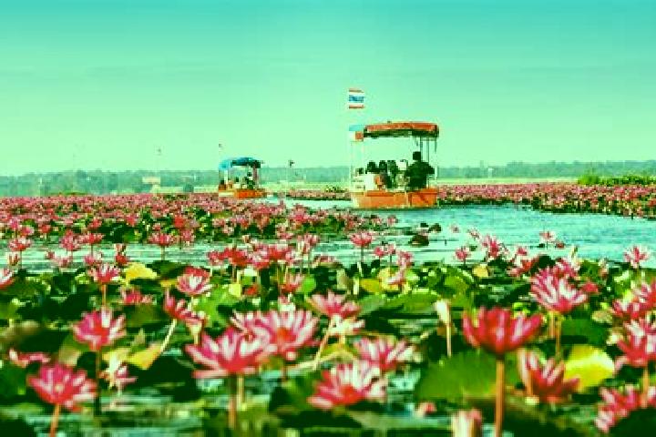escort Sang Khom