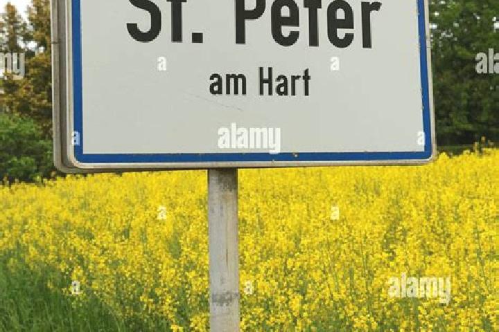 escort Sankt Peter am Hart