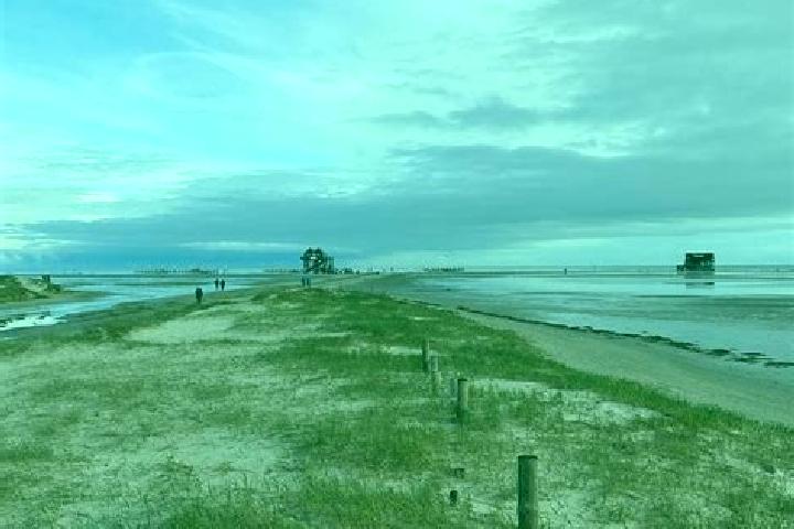 escort Sankt Peter-Ording